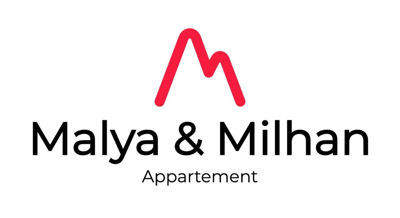 Appartement Milhan Quartier Aigle Championnet เกรอน็อบล์ ภายนอก รูปภาพ